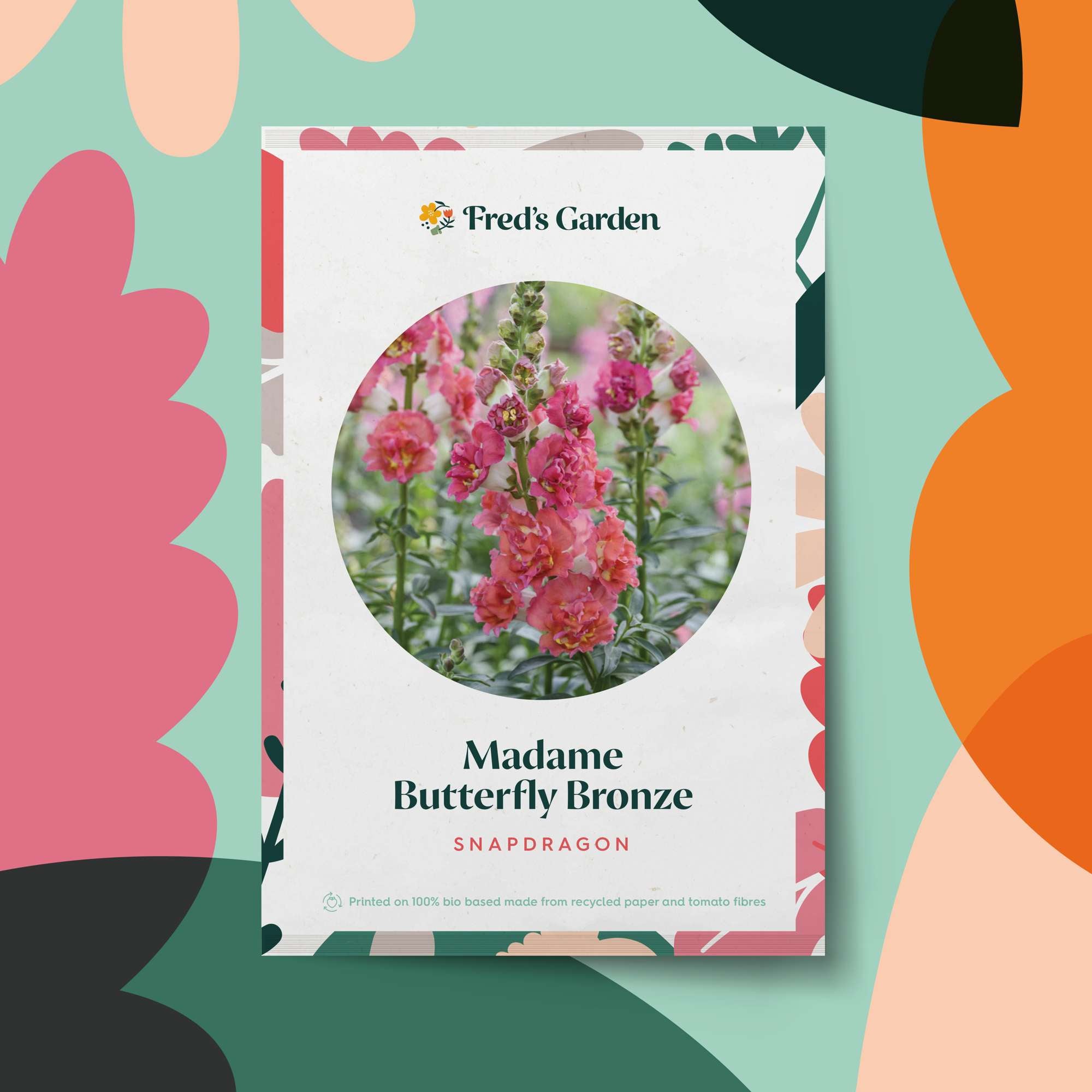 Lejongap 'Madame Butterfly Bronze' (frö)